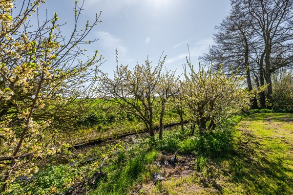 Medium property photo - Mosseldijk 9, 4504 SH Nieuwvliet